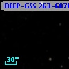 DEEP-GSS 263-6076