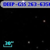 DEEP-GSS 263-6350