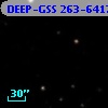 DEEP-GSS 263-6417