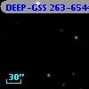 DEEP-GSS 263-6544