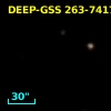 DEEP-GSS 263-7417