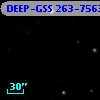 DEEP-GSS 263-7563
