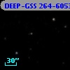 DEEP-GSS 264-6053