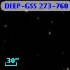 DEEP-GSS 273-760