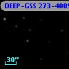 DEEP-GSS 273-4009