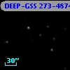 DEEP-GSS 273-4874