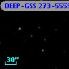 DEEP-GSS 273-5555