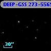 DEEP-GSS 273-5569