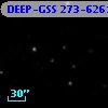 DEEP-GSS 273-6261