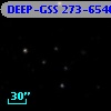 DEEP-GSS 273-6546