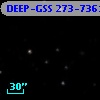 DEEP-GSS 273-7361