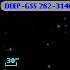DEEP-GSS 282-3146