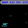 DEEP-GSS 283-1315