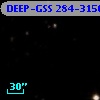DEEP-GSS 284-3156