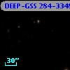 DEEP-GSS 284-3348
