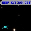 DEEP-GSS 293-2517