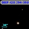 DEEP-GSS 294-3918
