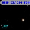 DEEP-GSS 294-6048