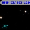 DEEP-GSS 302-1030