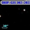 DEEP-GSS 302-2023