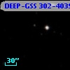DEEP-GSS 302-4039