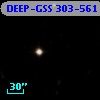 DEEP-GSS 303-561