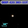 DEEP-GSS 303-1173