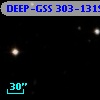 DEEP-GSS 303-1319