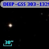 DEEP-GSS 303-1328