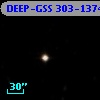 DEEP-GSS 303-1374