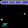 DEEP-GSS 303-4909