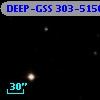 DEEP-GSS 303-5156