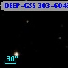 DEEP-GSS 303-6045