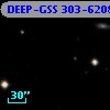 DEEP-GSS 303-6208