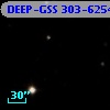 DEEP-GSS 303-6254