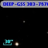 DEEP-GSS 303-7870