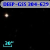 DEEP-GSS 304-629