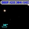DEEP-GSS 304-1422