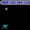 DEEP-GSS 304-2136