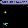 DEEP-GSS 304-2209