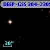DEEP-GSS 304-2309