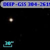 DEEP-GSS 304-2618