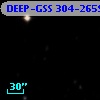 DEEP-GSS 304-2659