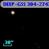 DEEP-GSS 304-2743