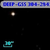 DEEP-GSS 304-2841