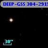DEEP-GSS 304-2915