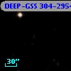 DEEP-GSS 304-2954