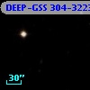 DEEP-GSS 304-3223