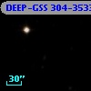 DEEP-GSS 304-3533