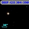 DEEP-GSS 304-3908